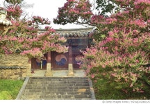 MZKQD22000125 | 게티이미지코리아 | 안동시 풍천면 병산길 Rights-Managed 이미지