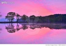 MBRF22008199 | 게티이미지코리아 | 경산시 남산면 반곡리 반곡지 Royalty-Free 이미지