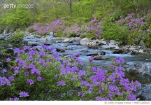 MBRF22008923 | 게티이미지코리아 | 남원시 산내면 덕동리 Royalty-Free 이미지