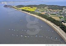 MHZD22001608 | 게티이미지코리아 | 전남 무안군 해제면 송계해변 Rights-Managed 이미지