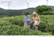1400812290 | 게티이미지코리아 | Two Asian agricultural scientists and technicians investigated data in the botanical garden... 