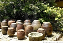 MZKQD22000213 | 게티이미지코리아 | 경북영주시순흥면소백로,옹기 Rights-Managed 이미지