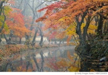 MBRF22016831 | 게티이미지코리아 | 전북 고창군 아산면 선운사로, 선운사 단풍 Royalty-Free 이미지