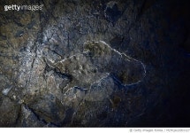 MZHQA22001327 | 게티이미지코리아 | 전남, 해남군, 공룡박물관, 우항리 공룡화석지, 공룡발자국, 화석 Rights-Managed 이미지