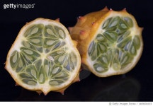 1409694193 | 게티이미지코리아 | Close-up of fruit over black background Royalty-Free 이미지