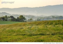 MBRF22020696 | 게티이미지코리아 | 경기도 안성목장,안개 Royalty-Free 이미지