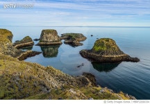 MBRF22026334 | 게티이미지코리아 | primato14 Royalty-Free 이미지