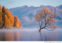 1430025025 | 게티이미지코리아 | Supachai Panyaviwat Royalty-Free 이미지