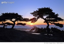 돼지게티 경북문경점 | MBRF22028372 | 게티이미지코리아 | 경상북도, 문경 Royalty-Free 이미지