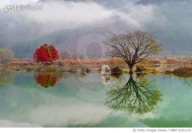 MBRF22031279 | 게티이미지코리아 | 진안군 주천면 신양리 주천생태공원 Royalty-Free 이미지