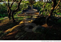 MZHQA23000621 | 게티이미지코리아 | 경북, 경주시, 국립공원, 문화재, 소금강산, 표암, 유허비각, 소나무 Rights-Managed 이미지