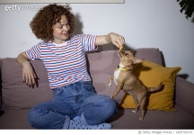 1455791673 | 게티이미지코리아 | Young beautiful ginger woman enjoying time with her pet Royalty-Free 이미지