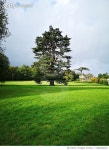 1464944327 | 게티이미지코리아 | Trees On Field Against Sky Royalty-Free 이미지