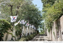 MJSD23000052 | 게티이미지코리아 | 3.1 만세운동길,대구근대골목투어,근대로의여행 Rights-Managed 이미지