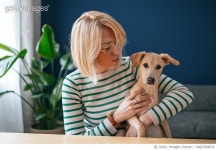 1482780874 | 게티이미지코리아 | Beautiful Woman Petting Her Dog At Home Royalty-Free 이미지