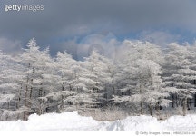 MBRF23031418 | 게티이미지코리아 | 강원도 횡성군 태기산 Royalty-Free 이미지