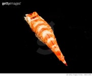588171848 | 게티이미지코리아 | Kuruma Ebi Sushi Royalty-Free 이미지