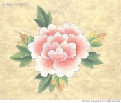 IMIMG24005224 | 게티이미지코리아 | 민화, 모란도, 한국화 Royalty-Free 이미지