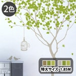 部屋のインテリア実例 Yukoさん(Room No. 839017)の部屋 ｜ RoomClip（ルームクリップ）