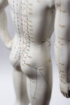 10,622 Acupuncture Stock Photos - Free & Royalty-Free Stock Photos from Dreamstime