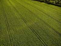 399 Filed Tractor Stock Photos - Free & Royalty-Free Stock Photos from Dreamstime
