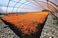 221 Sun Insolation Stock Photos - Free & Royalty-Free Stock Photos from Dreamstime