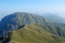 Grassland and yak stock image. Image of asian, mount, china - 4483711