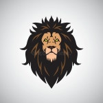Lion King Stock Illustrations – 63,719 Lion King Stock Illustrations, Vectors & Clipart - Dreamstime