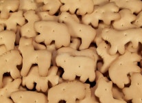 1,278 Animal Crackers Stock Photos - Free & Royalty-Free Stock Photos from Dreamstime