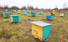 Vital Sharepchankau (Seniorcarlo) - Photos