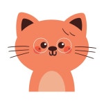 Cute Drawing Cartoon Cat Wearing Glasses Smiling. Cute Animal Doodle Stock Vector - Illustration of sketch, cute: 374694894