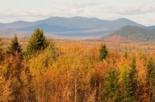 Country road in autumn stock photo. Image of path, contrast - 11338200