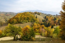 Autumn panorama stock image. Image of logs, large, home - 28698249