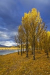 Tured Stock Photos - Free & Royalty-Free Stock Photos from Dreamstime