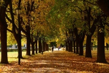 2,382 Vigeland Stock Photos - Free & Royalty-Free Stock Photos from Dreamstime