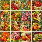 Collage with Bio Vegetables Stock Image - Image of collage, harvest: 22972783 Collage With Bio Vegetables Stock Image - Image of... 