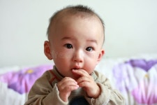 Orange baby stock photo. Image of orange, nose, whiskers - 994002
