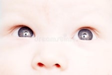 Innocence stock image. Image of isolated, innocence, child - 711555