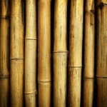 Bamboo background stock photo. Image of japan, culture - 14851406