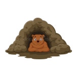 Cartoon Happy Brown Bear in the Cave Stock Vector - Illustration of happy, cave: 173673904