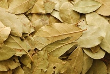 Autumn frame stock image. Image of nature, food, frame - 5305601