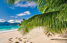 804 Soleil Beach Stock Photos - Free & Royalty-Free Stock Photos from Dreamstime