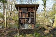 Bee Hotel for Species Conservation Stock Image - Image of farming, landscape: 444468751
