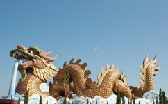 18,331 Golden Chinese Dragon Stock Photos - Free & Royalty-Free Stock Photos from Dreamstime
