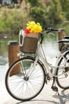 비비비씨(Blues Bakery Bike Cafe) | Vintage Yellow Bike With A Basket With Flowers Stands Near The Cafe Of A Bakery Against The Background Of The Wooden Blue House....