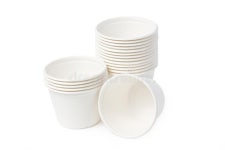 Bagasse Box For Food Isolated On White Background Stock Image - Image of packaging, choice: 152402653