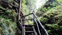 Free Public Domain CC0 Image: Black Wood Stairs Going To Waterfall During Daytime Picture. Image: 83064698