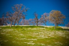 52,072 Lush Green Hill Stock Photos - Free & Royalty-Free Stock Photos from Dreamstime