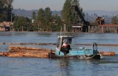 Boom jockey stock photo. Image of power, water, boat, logging - 839002
