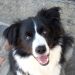 Umberto Pellegriti (Umberto100) - Photos